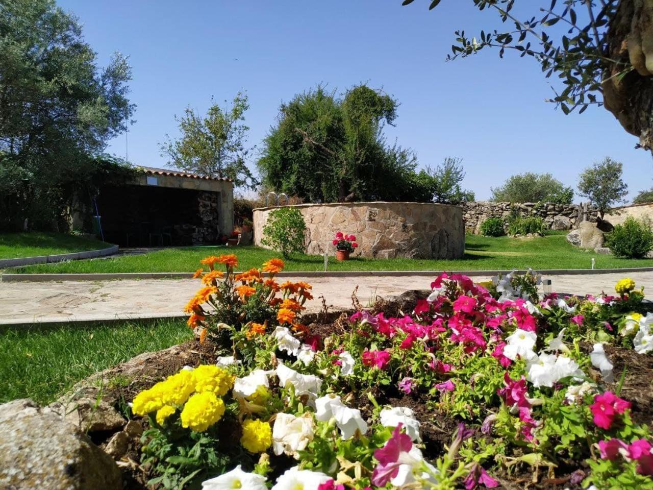 El Lagar Del Abuelo En Los Arribes Del Duero, Badilla, Zamora Exteriör bild